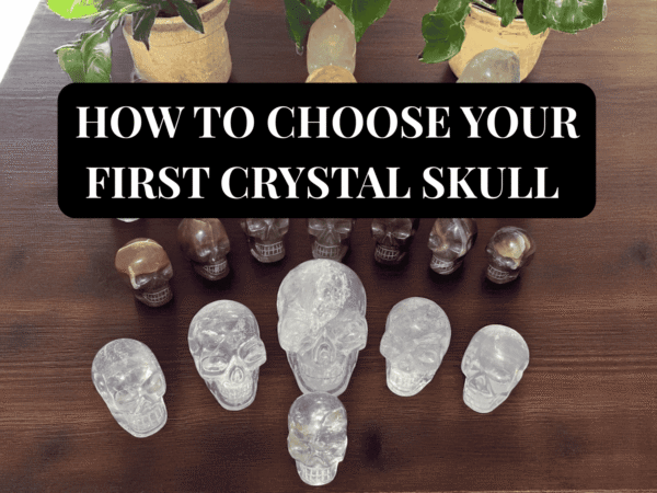 How to choose your first crystal skull