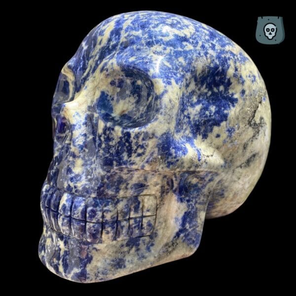 sodalite-crystal-skull-Walmere7.jpg sodalite-crystal-skull-Walmere7.jpg