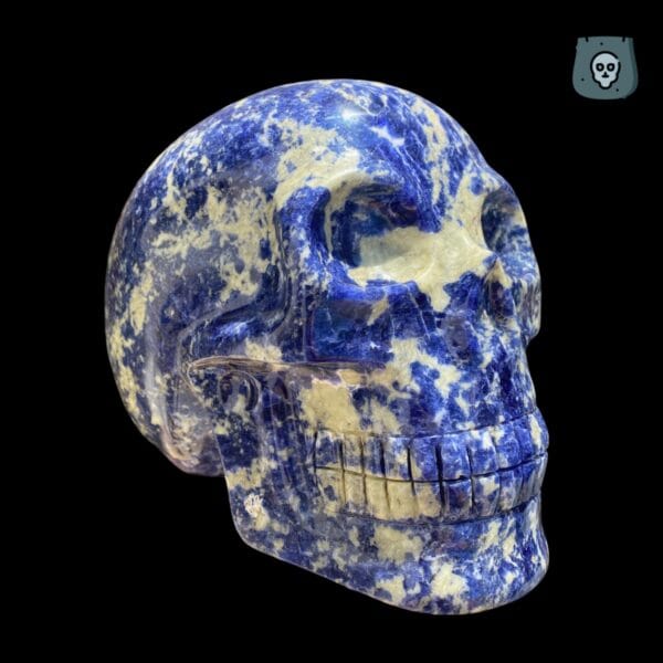 sodalite-crystal-skull-Walmere9.jpg sodalite-crystal-skull-Walmere9.jpg