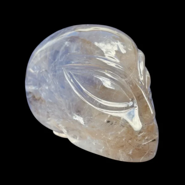 rutilated-smoky-quartz-alien-skull2 rutilated-smoky-quartz-alien-skull2