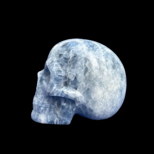 10 10