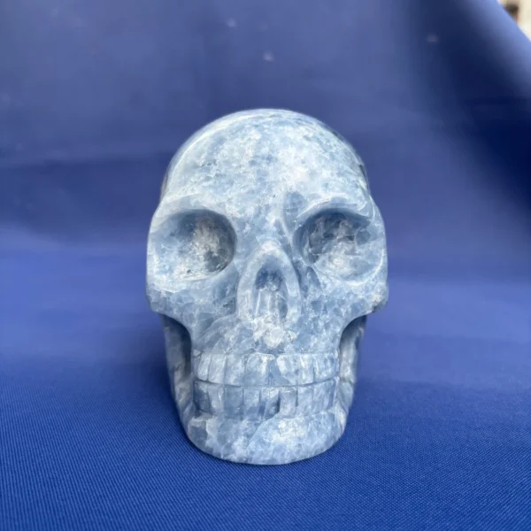 blue-calcite-skull blue-calcite-skull