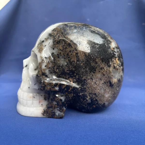 life-size-tourmaline-quartz-skull4 life-size-tourmaline-quartz-skull4