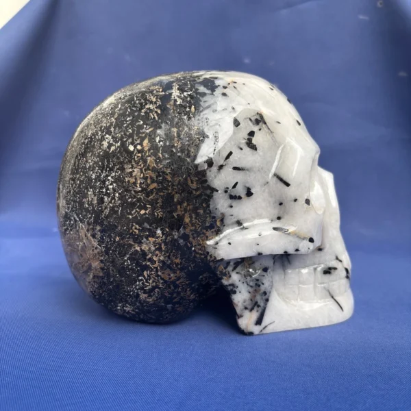 life-size-tourmaline-quartz-skull6 life-size-tourmaline-quartz-skull6