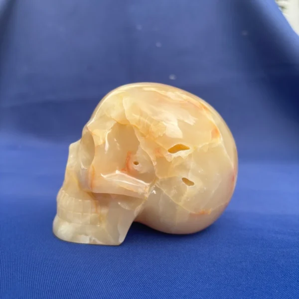 yellow-onyx-skull5 yellow-onyx-skull5